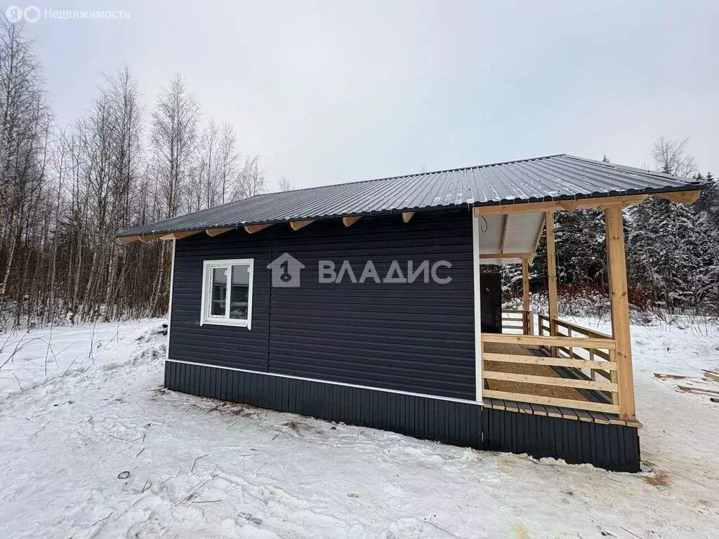 Дом в Иссадское сельское поселение, СНТ Бумажник, улица 5А (45 м) - Фото 2