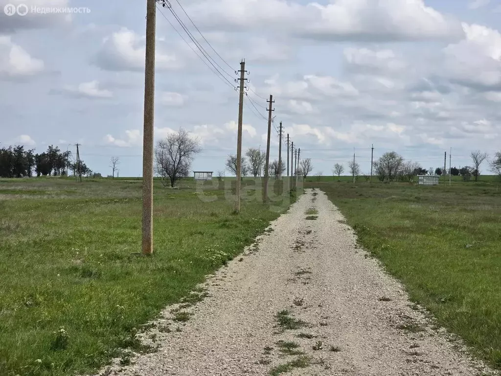 Участок в Красногорское сельское поселение, село Королёво, улица А. ... - Фото 1