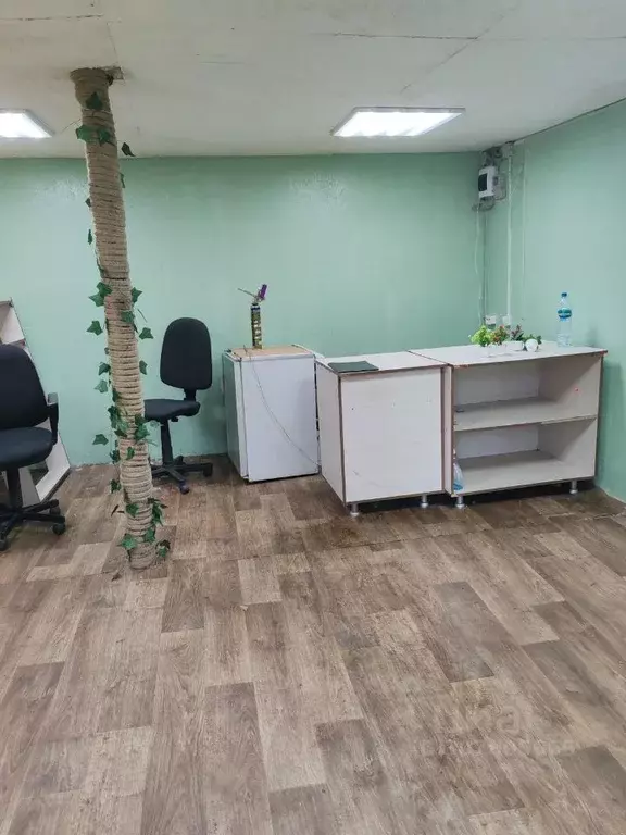 Помещение свободного назначения в Челябинская область, Челябинск ул. ... - Фото 1