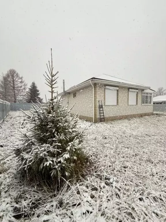 Дом в Нижегородская область, Богородский муниципальный округ, с. ... - Фото 1