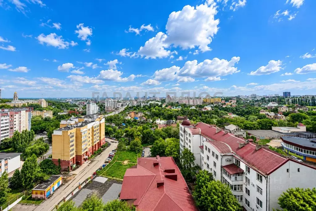 1-к кв. Липецкая область, Липецк Нижняя Логовая ул., 11 (41.5 м) - Фото 1
