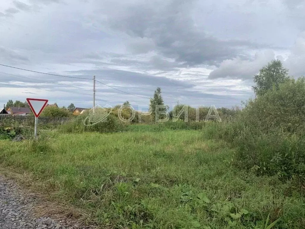 Участок в Тюменская область, Нижнетавдинский муниципальный округ, ... - Фото 1