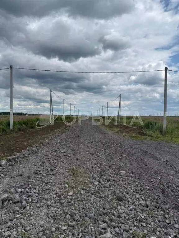 Участок в Тюменская область, Тюменский район, д. Малиновка  (13.42 ... - Фото 2