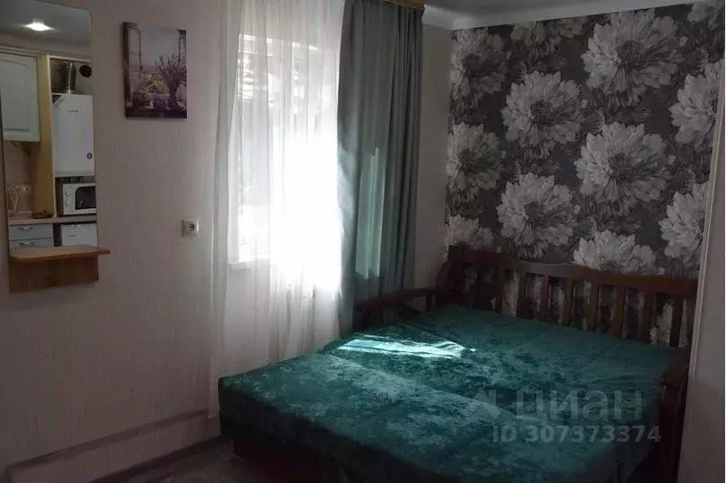 1-к кв. Ставропольский край, Кисловодск ул. Гагарина, 58 (20.0 м) - Фото 1