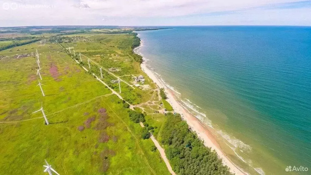 Участок в Калининградская область, Зеленоградский муниципальный округ, ... - Фото 2