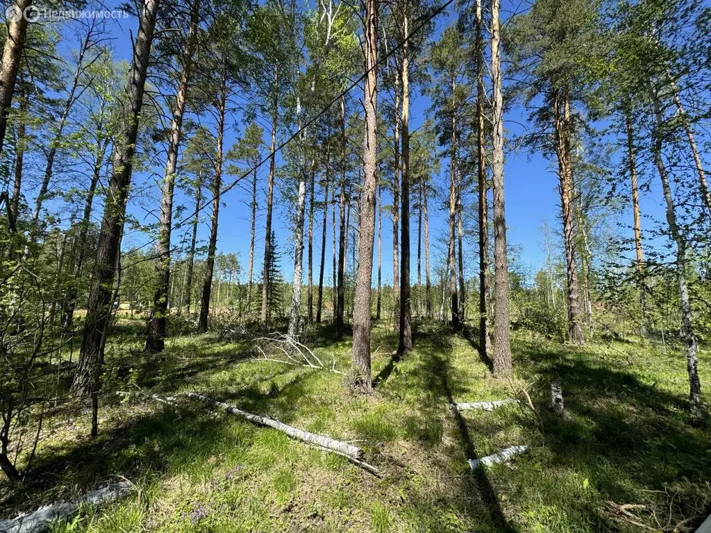 Участок в Свердловская область, городской округ Ревда, село Кунгурка ... - Фото 0