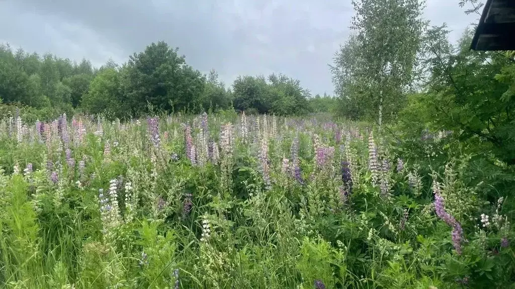 Участок в Башкортостан, Бирск Кленовый Мыс КС,  (10.0 сот.) - Фото 2