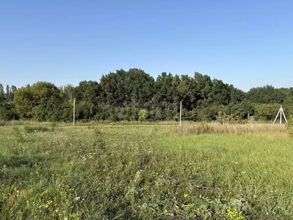 Участок в Белгородская область, Белгородский район, Дубовское с/пос, ... - Фото 1