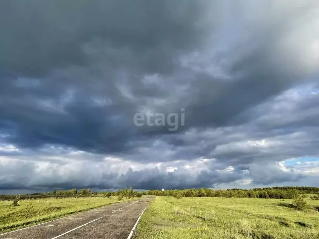 участок в ульяновская область, тереньгульский район, подкуровское . - Фото 0