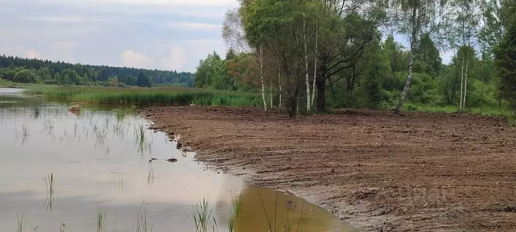 Участок в Тверская область, Калязинский муниципальный округ, д. ... - Фото 1