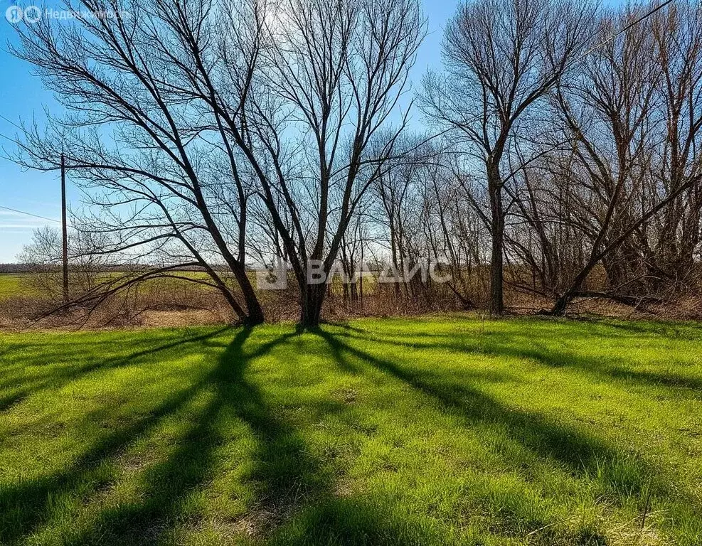 Участок в село Орлово, Школьная улица, 82 (15 м) - Фото 1