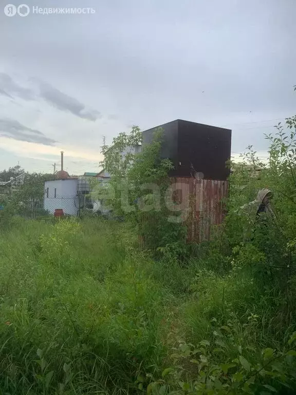 Участок в Наумовский сельсовет, СНТ Заря (5.45 м) - Фото 1