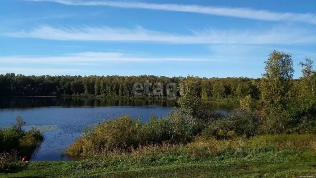 Участок в Новосибирская область, Искитимский район, Степной сельсовет, ... - Фото 1