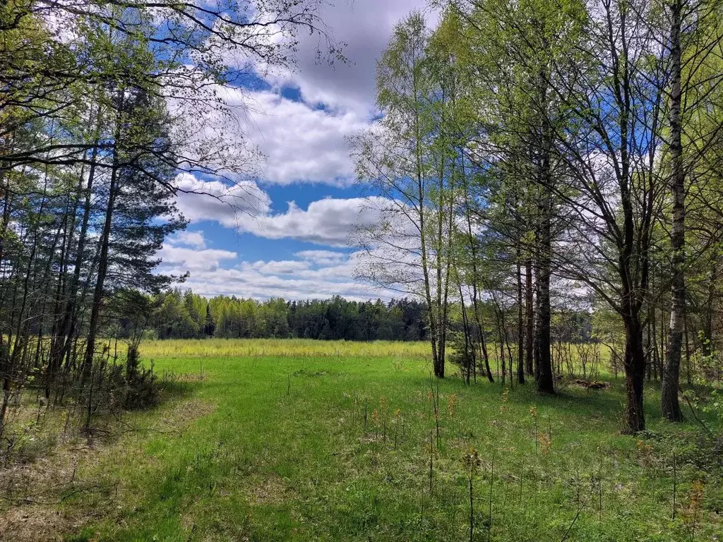Участок в Смоленская область, Темкинский муниципальный округ, д. ... - Фото 1