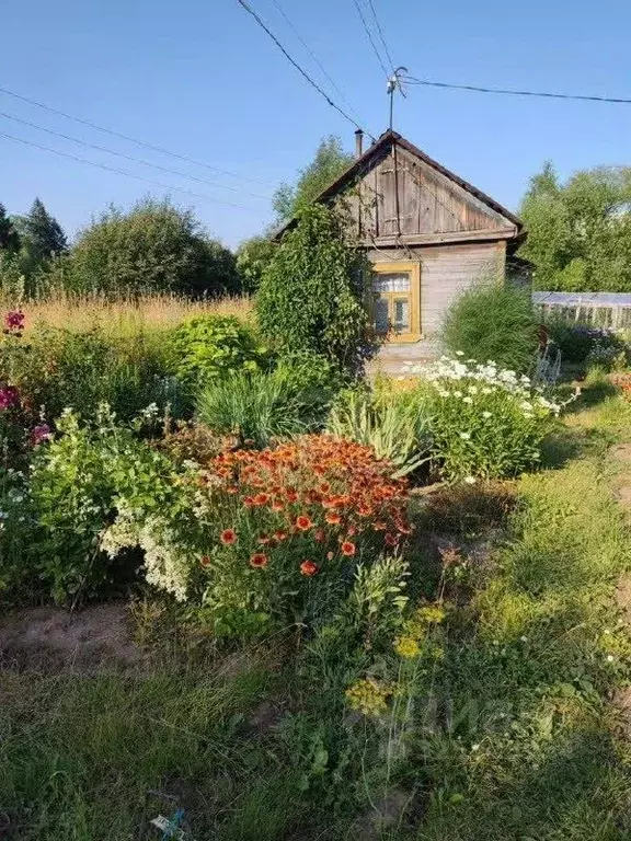 Участок в Кировская область, Киров  (6.6 сот.) - Фото 2