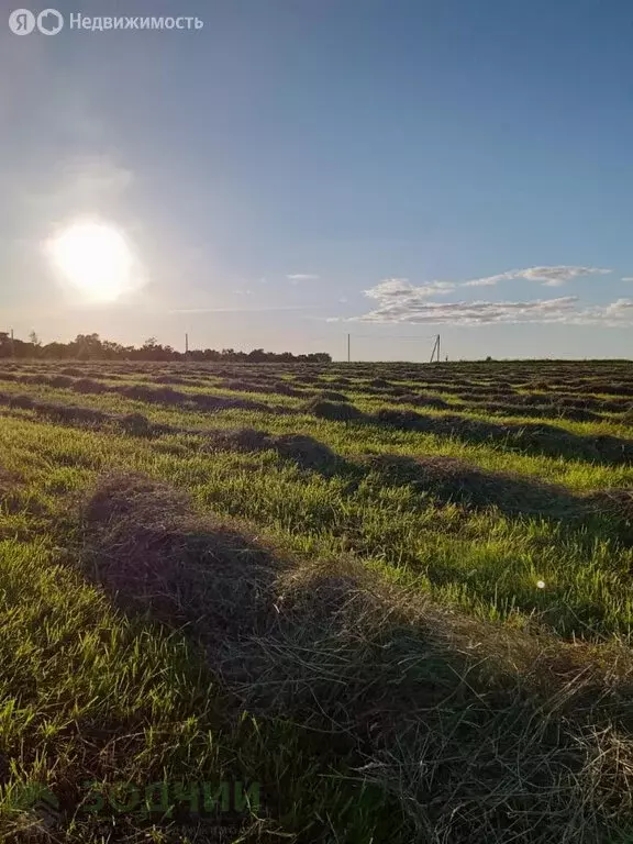 Участок в Чувашская Республика, Чебоксары (209 м) - Фото 0