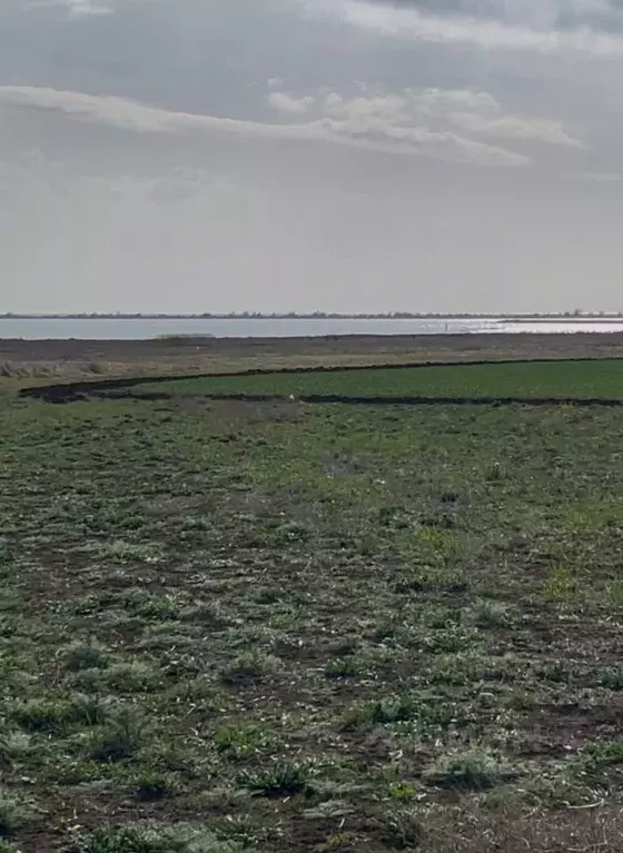 Участок в Крым, Сакский район, с. Штормовое  (6.0 сот.) - Фото 0