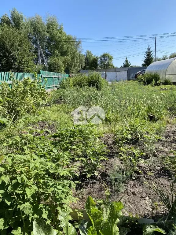 Участок в Новосибирская область, Новосибирский район, Барышевский ... - Фото 1