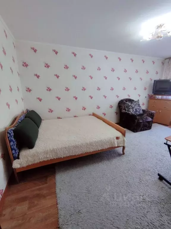 1-к кв. Ямало-Ненецкий АО, Новый Уренгой Молодежная ул., 9 (31.3 м) - Фото 1