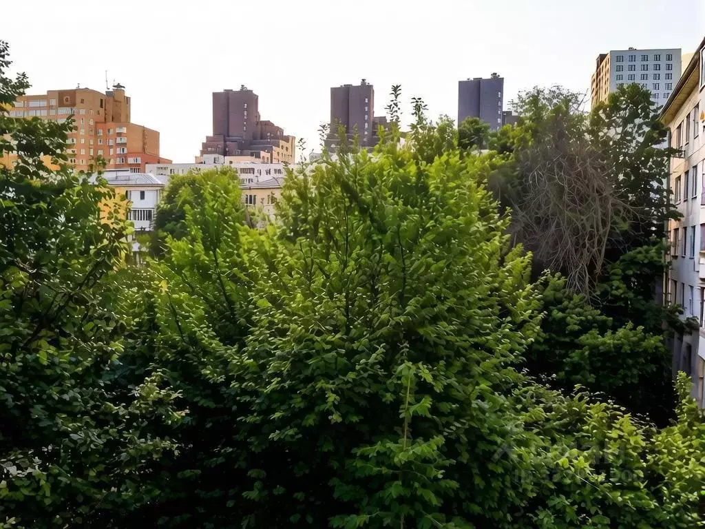 2-к кв. Самарская область, Самара ул. Георгия Димитрова, 56 (41.6 м) - Фото 2