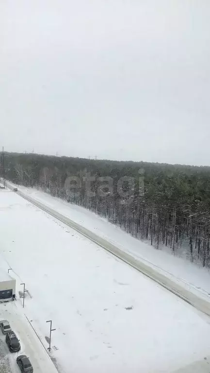 2-к кв. Алтайский край, Барнаул ул. 6-я Нагорная, 15Г/1к2 (36.3 м) - Фото 2