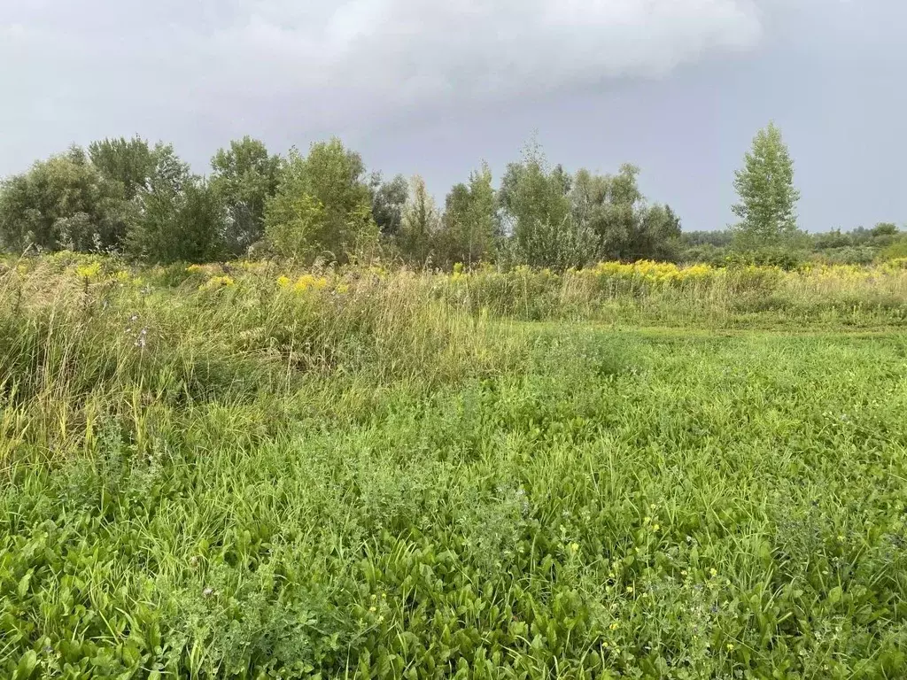 Участок в Нижегородская область, Богородский район, с. Арапово  (19.65 ... - Фото 0