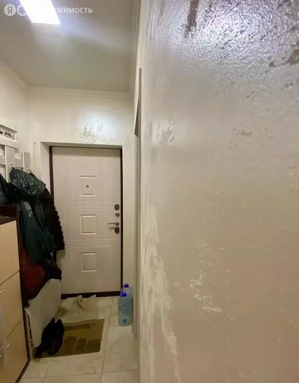 Квартира-студия: посёлок Российский, улица Шевкунова, 19 (24.4 м) - Фото 2