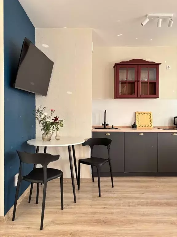 Студия Санкт-Петербург ул. Русановская, 18к3 (27.0 м) - Фото 2