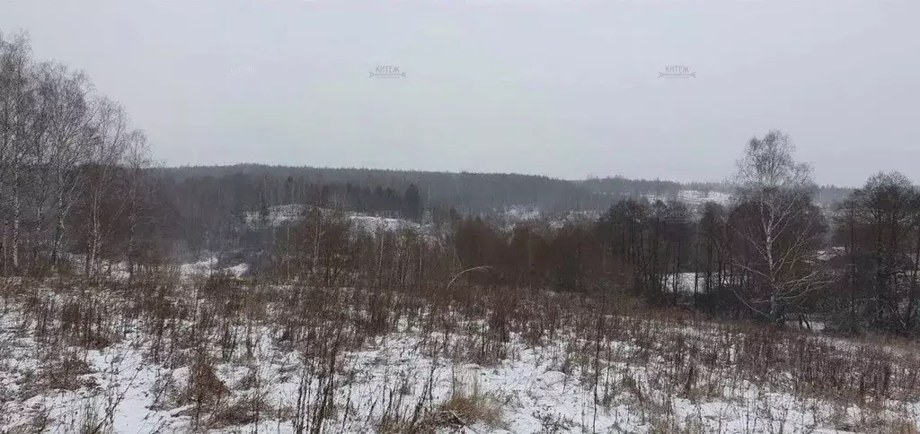 Участок в Калужская область, Калуга городской округ, д. Матюнино  ... - Фото 0