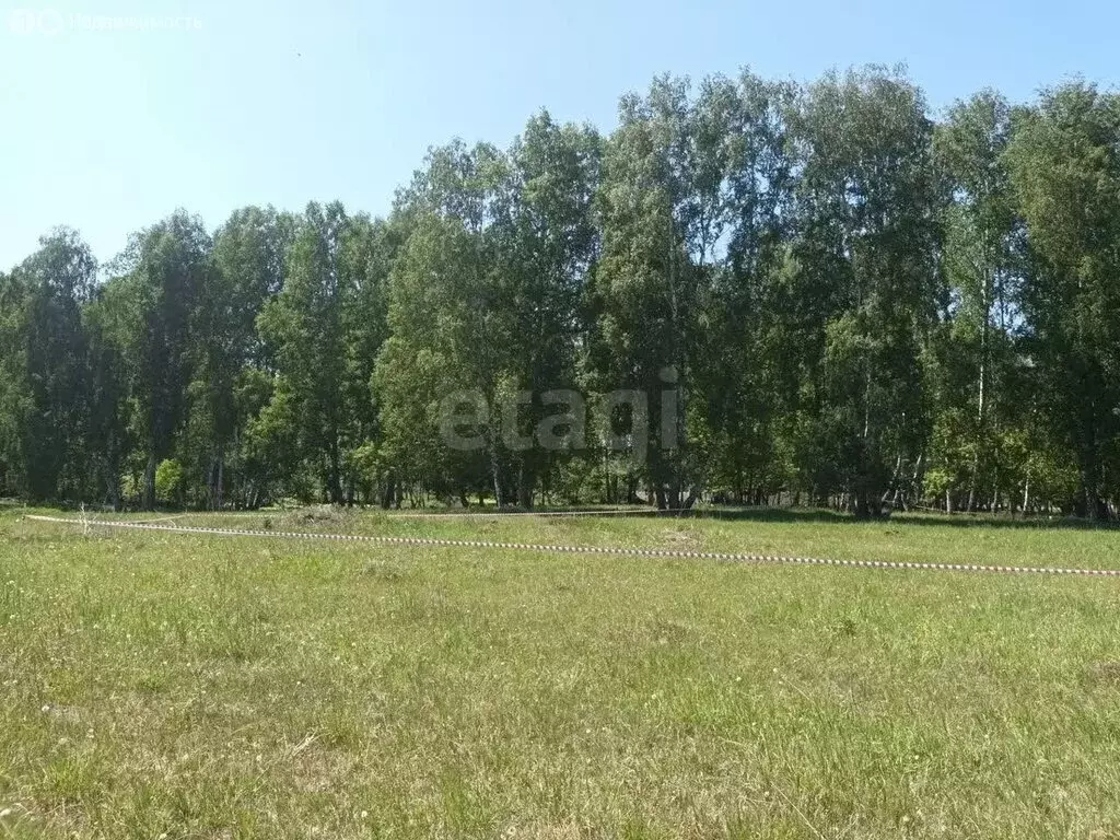 Участок в село Берёзово, Кемеровская улица (12.6 м) - Фото 2