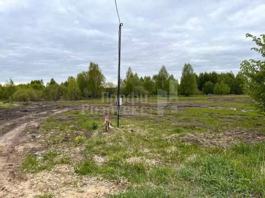 Участок в Нижегородская область, Богородский муниципальный округ, с. ... - Фото 1