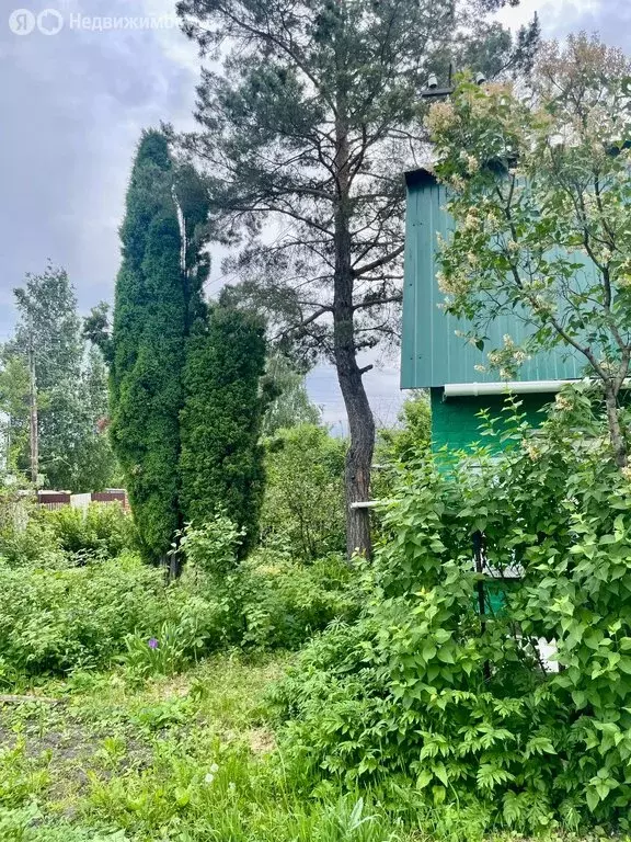 Дом в Омск, территория СОСН Любитель-2, 343 (15 м) - Фото 1