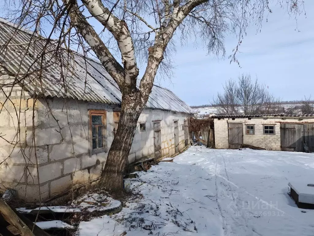 Дом в Белгородская область, Ровеньский район, с. Свистовка ул. ... - Фото 1