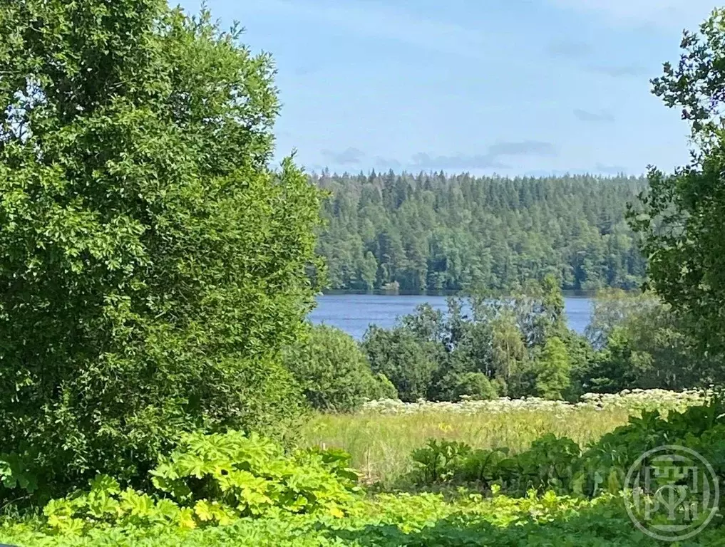 Участок в Ленинградская область, Выборгский район, Полянское с/пос, ... - Фото 1