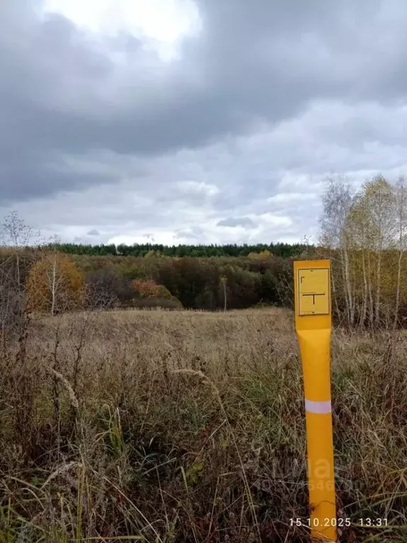 Участок в Тамбовская область, Сосновский муниципальный округ, с. ... - Фото 2