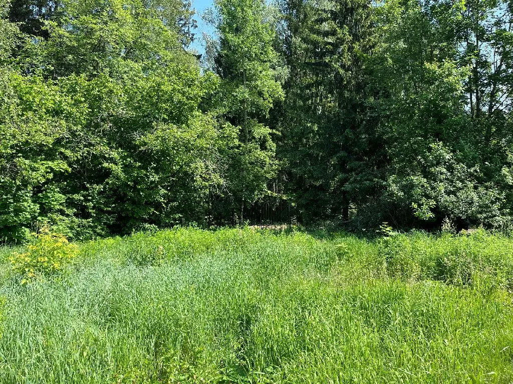 Продается участок в пос. Трудовая - Фото 2