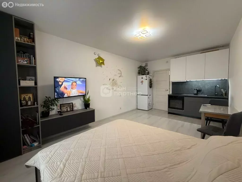 Квартира-студия: Санкт-Петербург, Суздальское шоссе, 20к4 (27.5 м) - Фото 1
