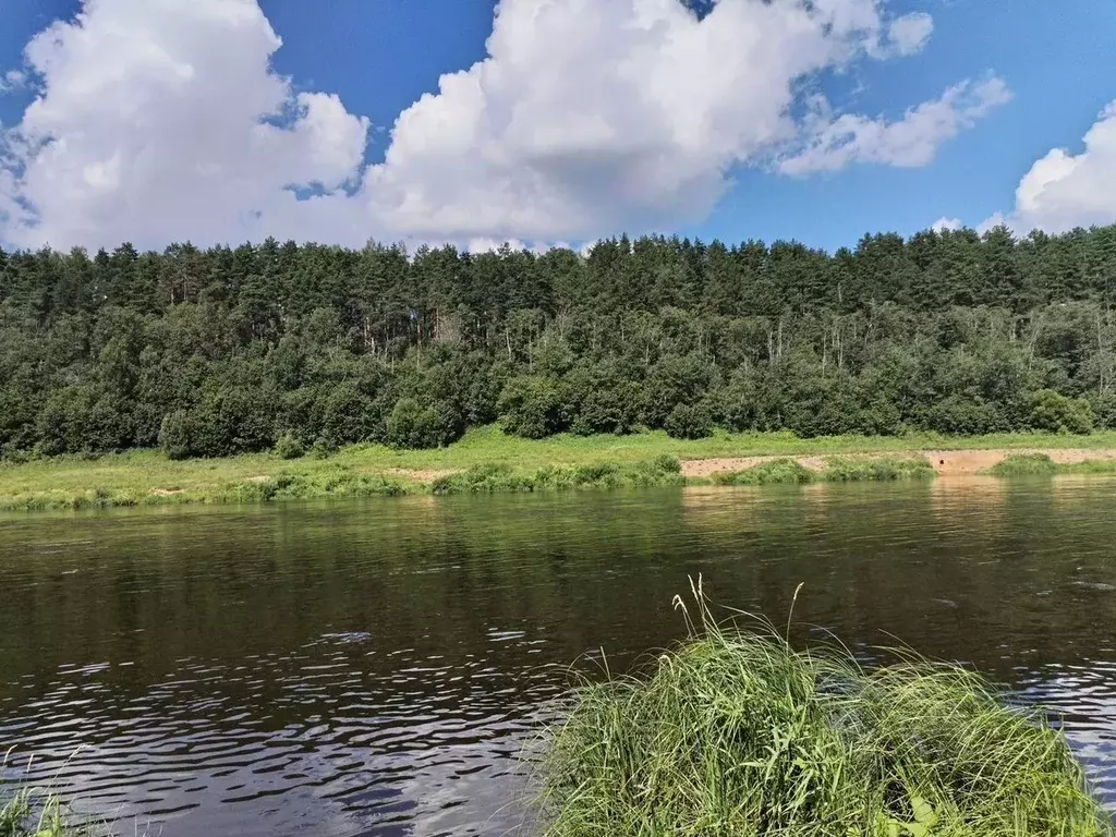 Участок в Тверская область, Калининский муниципальный округ, д. ... - Фото 2