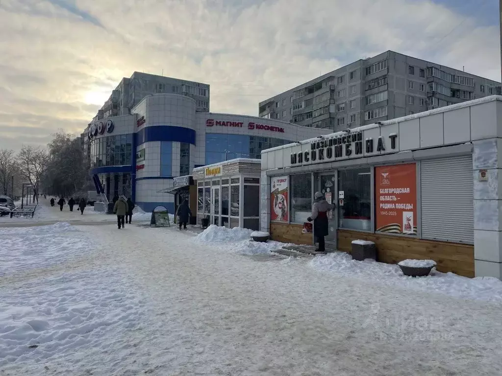 Помещение свободного назначения в Белгородская область, Старый Оскол ... - Фото 2