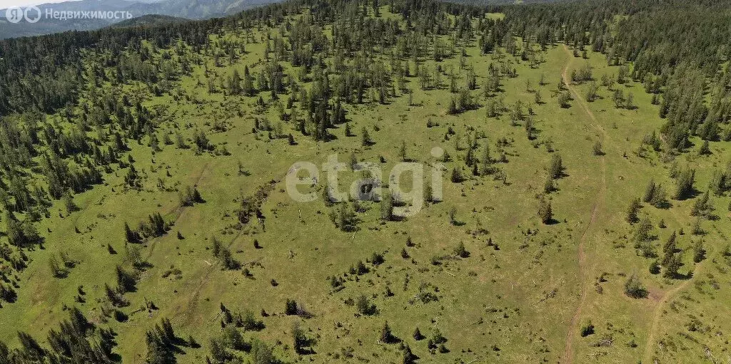 Участок в Шебалинский район, село Дъектиек (1065 м) - Фото 1