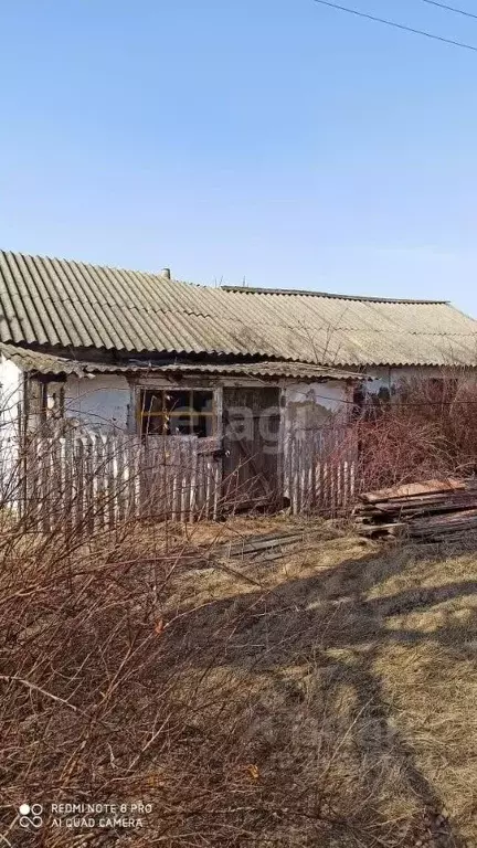 Дом в Курская область, Мантуровский район, 2-й Засеймский сельсовет, ... - Фото 1