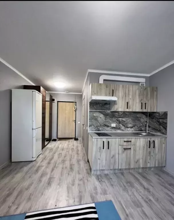 Студия Ленинградская область, Ломоносовский район, Виллозское ... - Фото 2