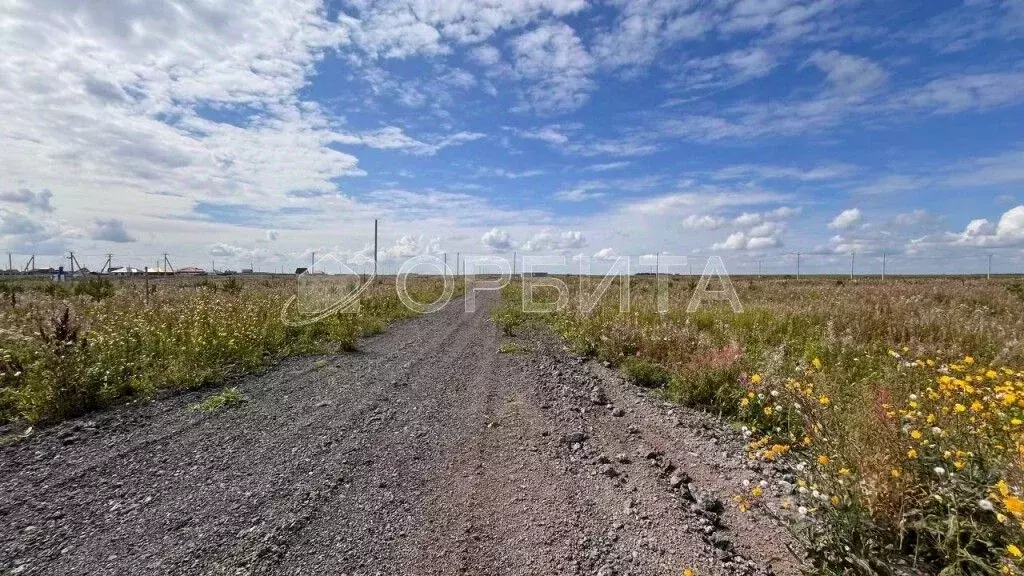 Участок в Тюменская область, Тюменский район, с. Успенка  (5.0 сот.) - Фото 1