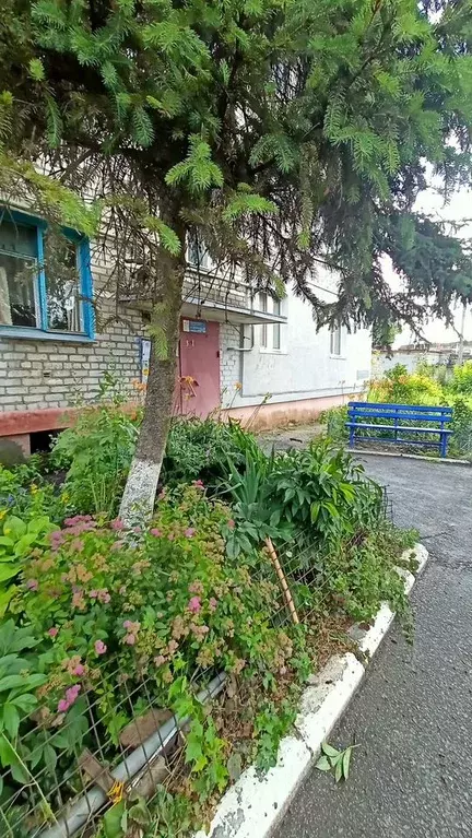 2-к. квартира, 38,2 м, 1/5 эт. - Фото 0