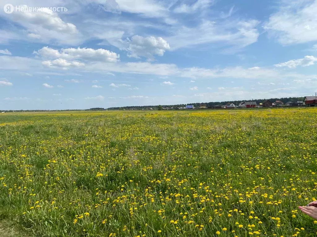 Участок в Виллозское городское поселение, ДНП Усадьба Можайское (217 . - Фото 0