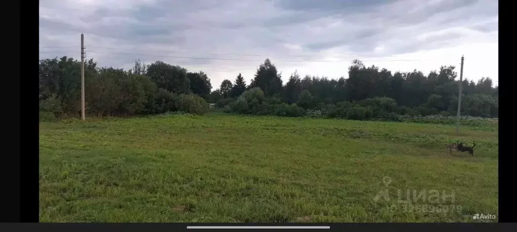 Участок в Московская область, Рузский муниципальный округ, д. Мамошино ... - Фото 2