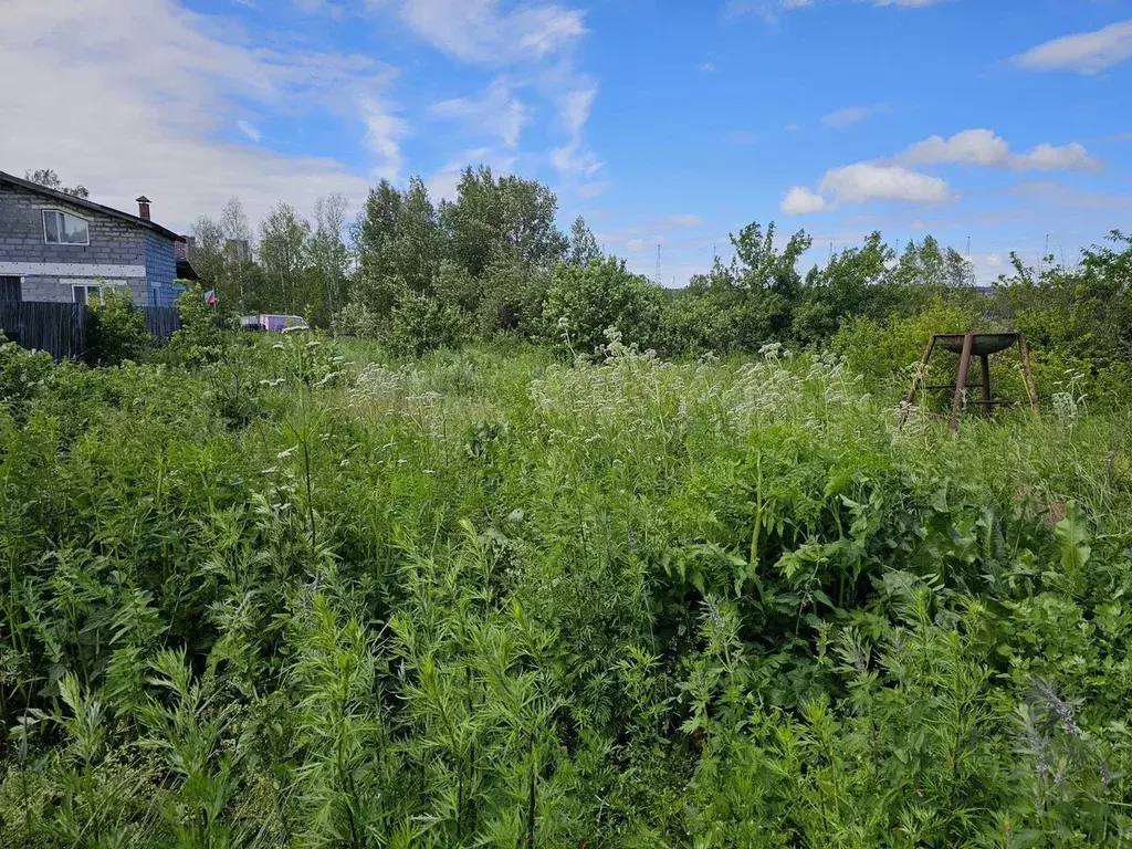 Участок в Свердловская область, Екатеринбург ул. Березовская, 38 (25.0 ... - Фото 0