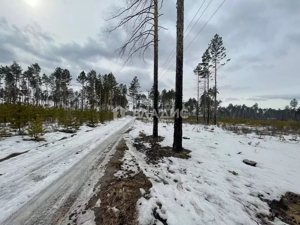 Участок в Забайкальский край, Читинский район, с. Карповка, Чистый ... - Фото 1