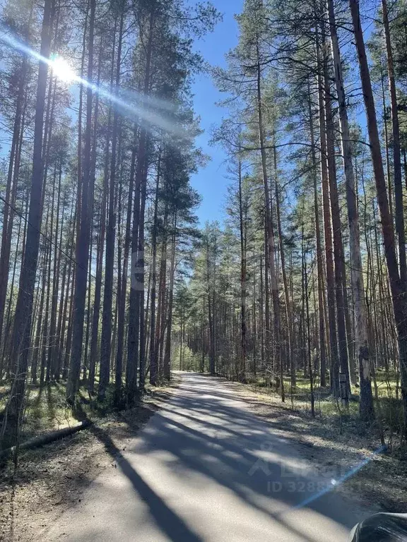 Участок в Ленинградская область, Приозерский район, Плодовское с/пос, ... - Фото 1