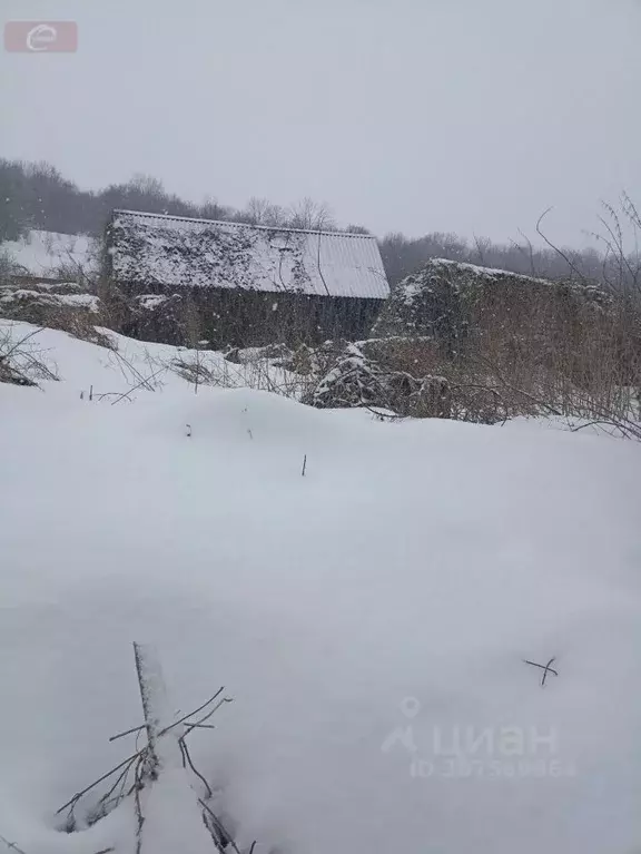 Участок в Воронежская область, Хохольский район, Гремяченское с/пос, ... - Фото 1